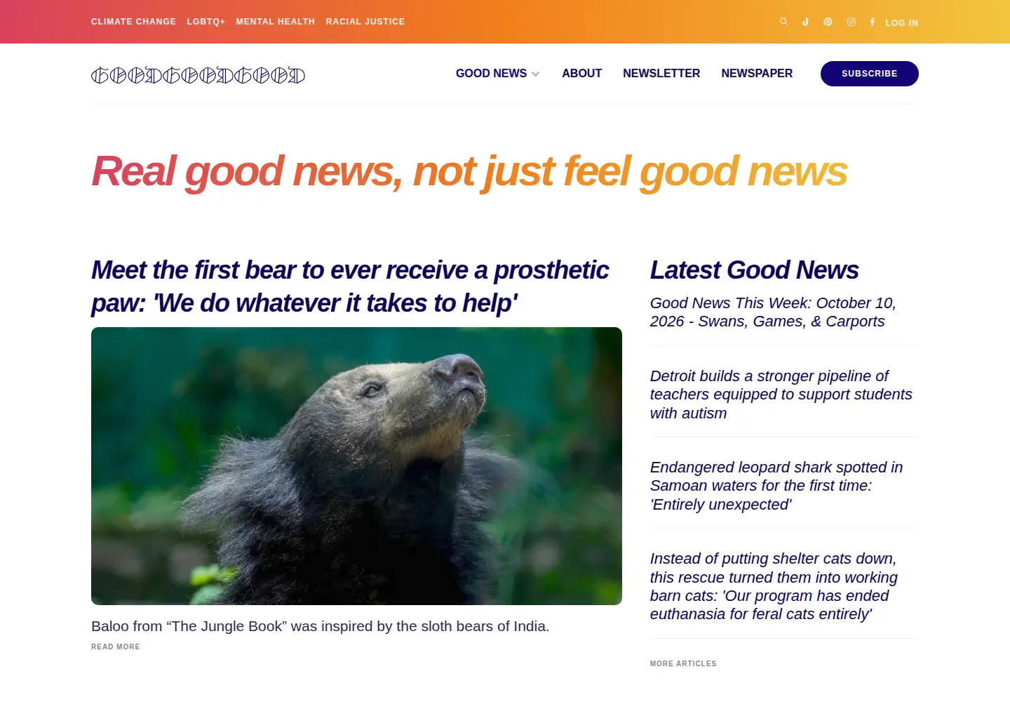 Captured homepage of goodgoodgood.co in the current scan