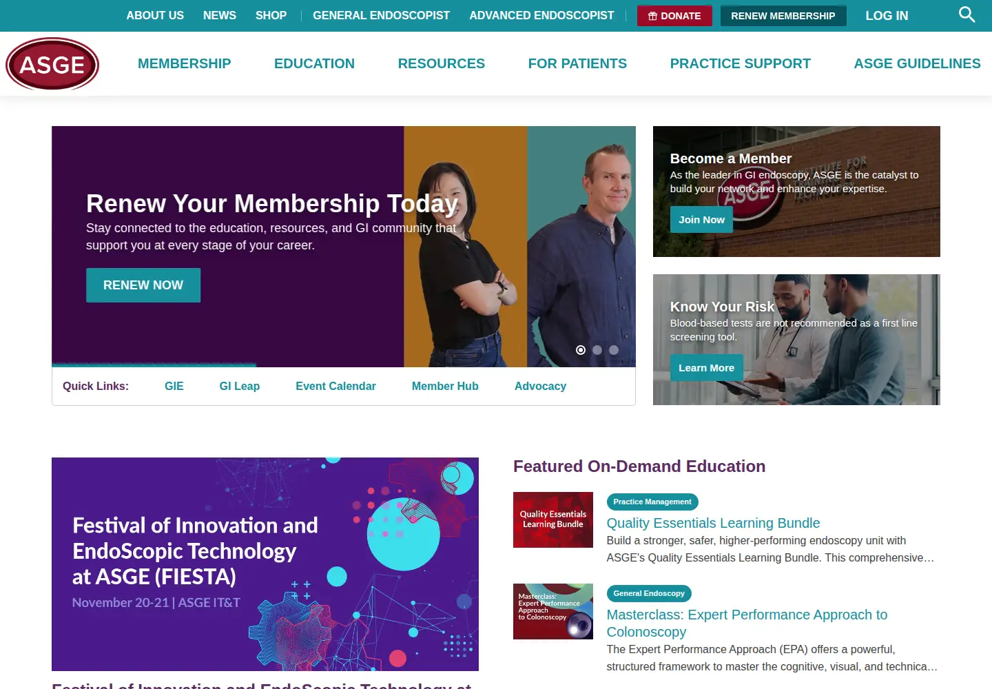 Screenshot of asge.org