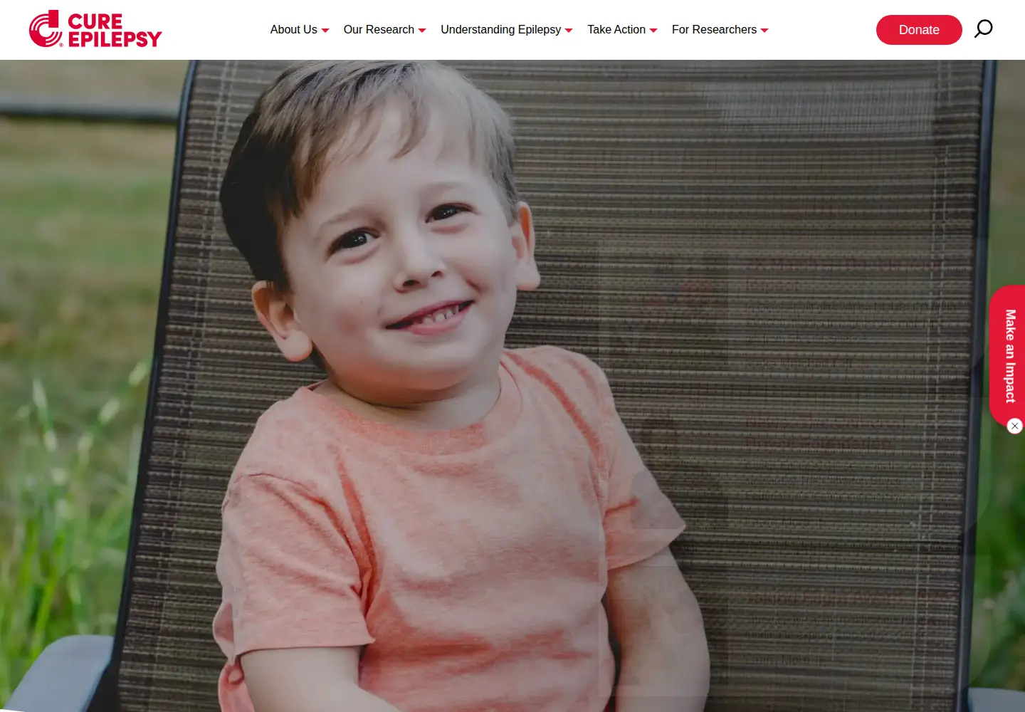 Screenshot of cureepilepsy.org
