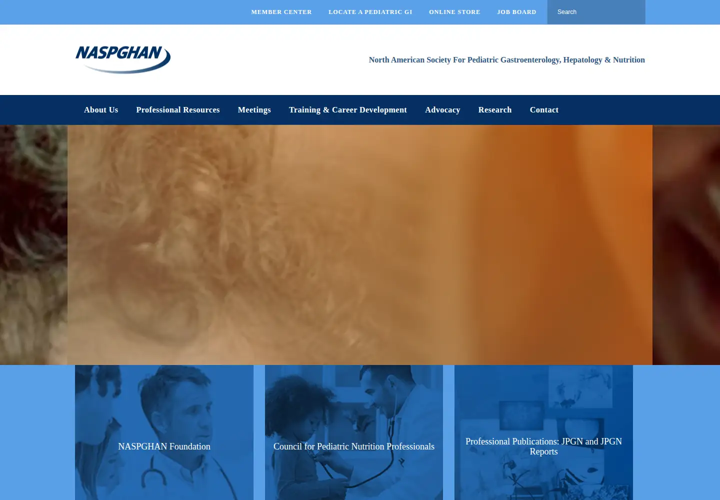 Captured homepage of naspghan.org in the current scan