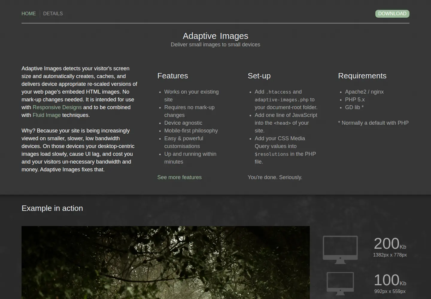 Captured homepage of adaptive-images.com in the current scan