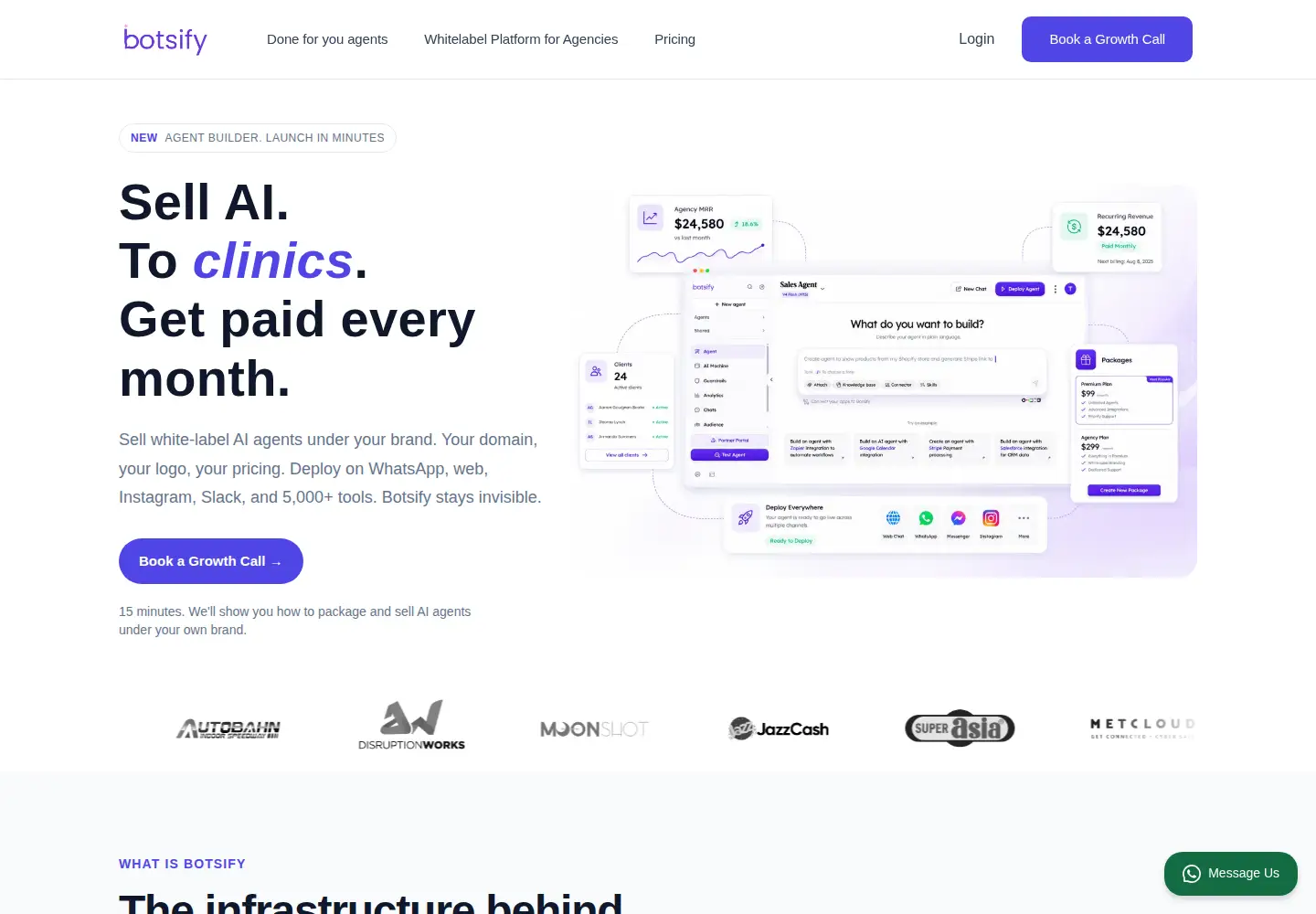Captured homepage of botsify.com in the current scan