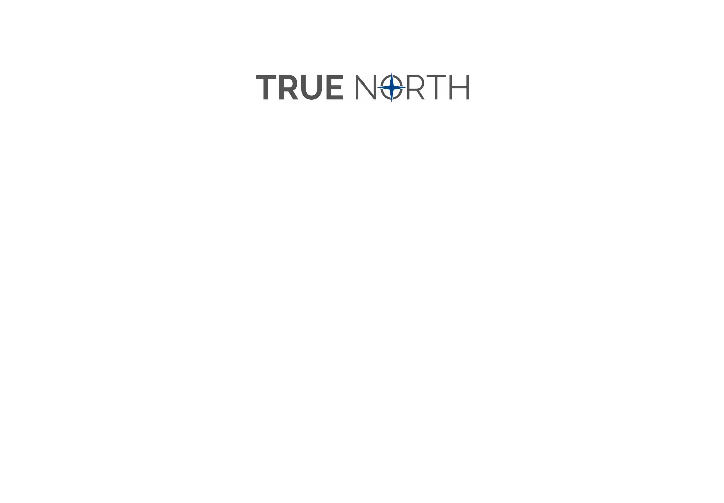 Captured homepage of tnc.news in the current scan