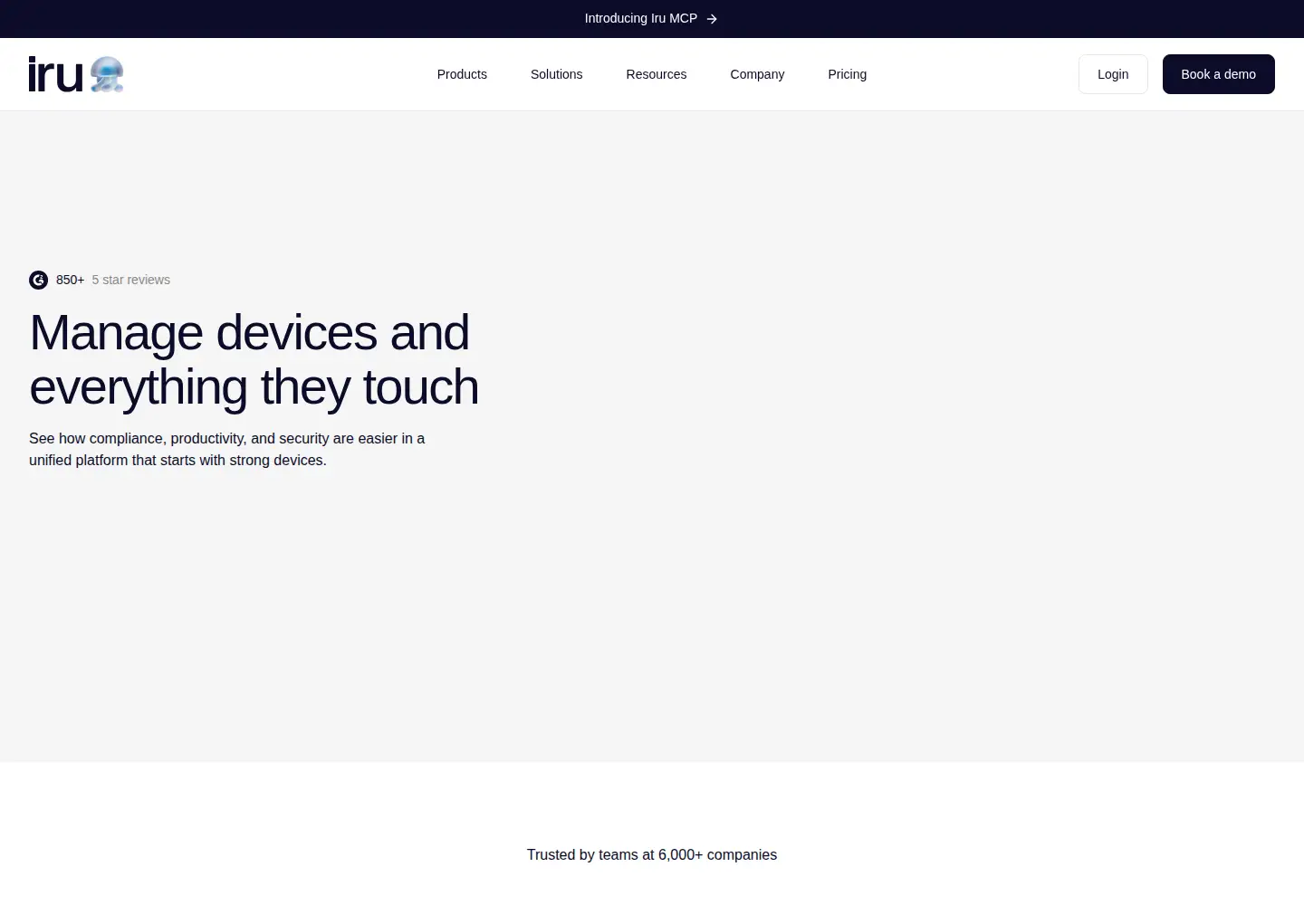 Screenshot of iru.com