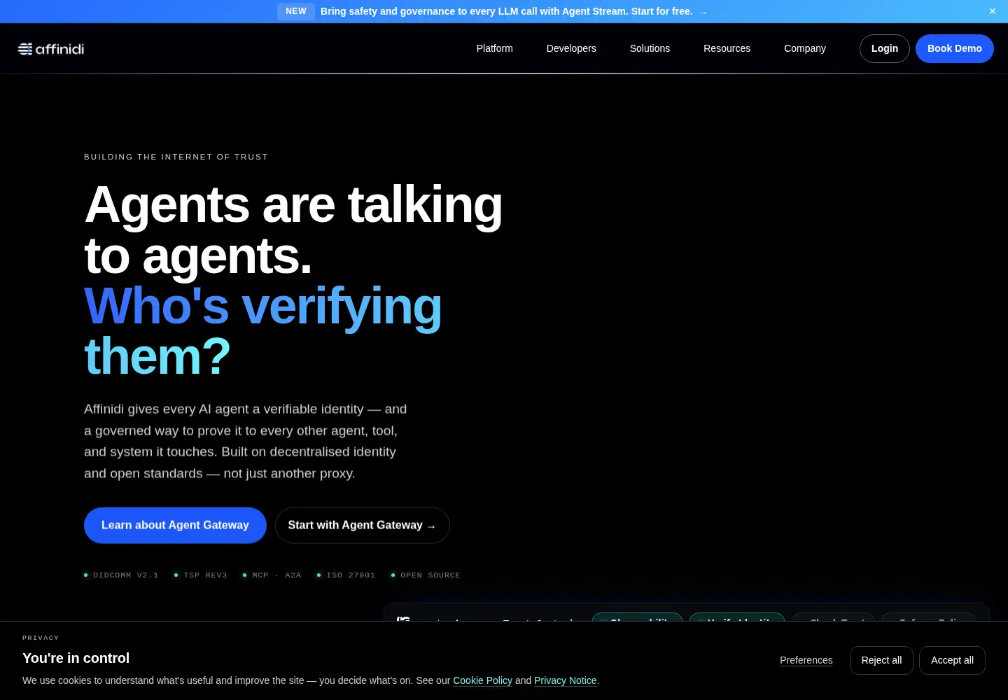 Captured homepage of affinidi.com in the current scan