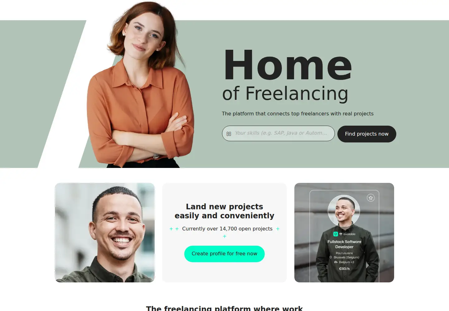 Captured homepage of freelancermap.com in the current scan