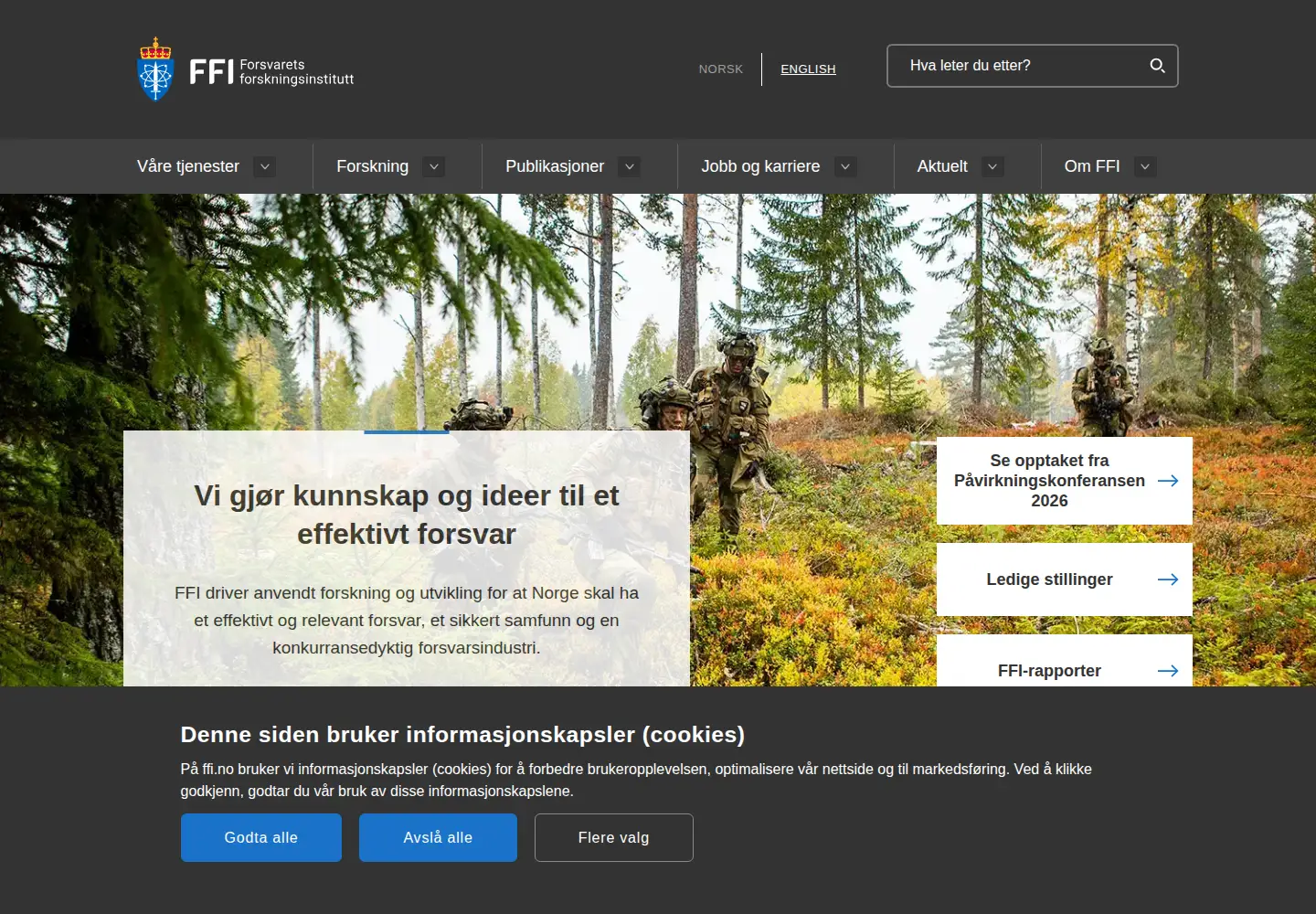 Screenshot of ffi.no
