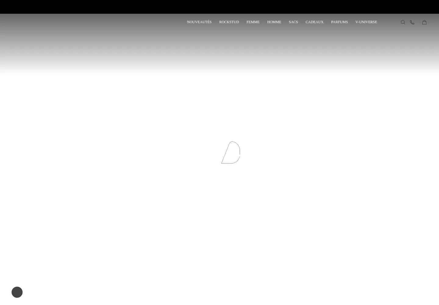 Captured homepage of valentino.com in the current scan