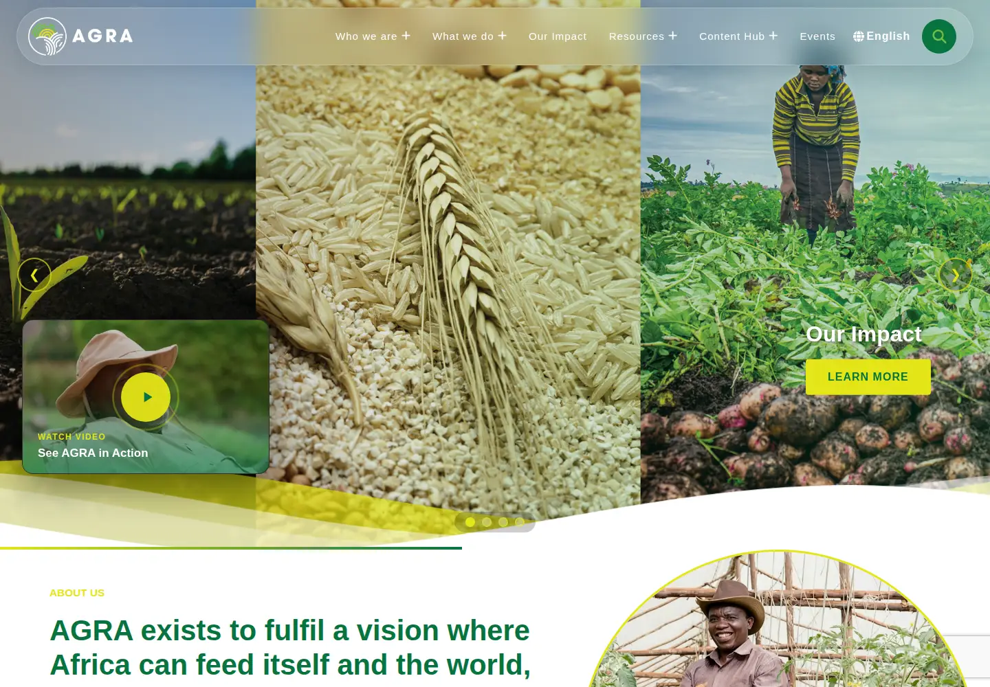 Screenshot of agra.org