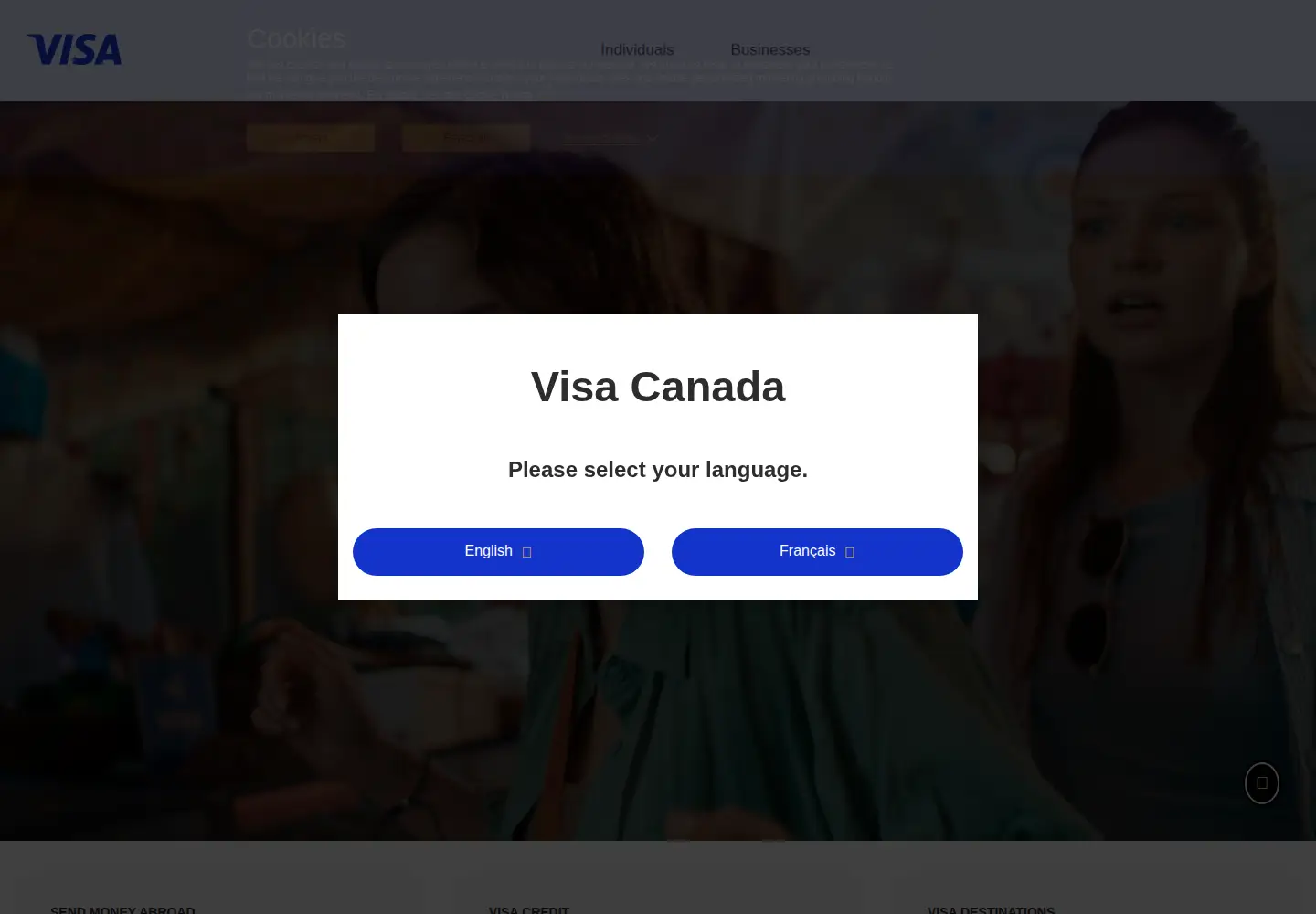 Captured homepage of visa.ca in the current scan