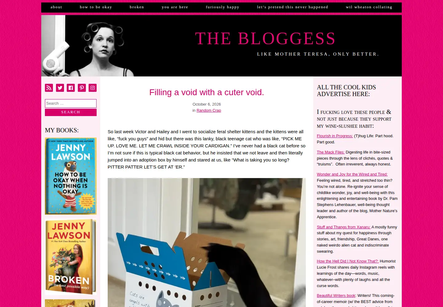 Screenshot of thebloggess.com
