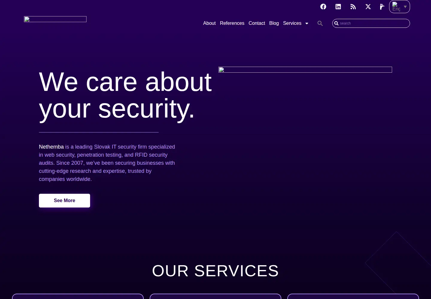 Captured homepage of nethemba.com in the current scan