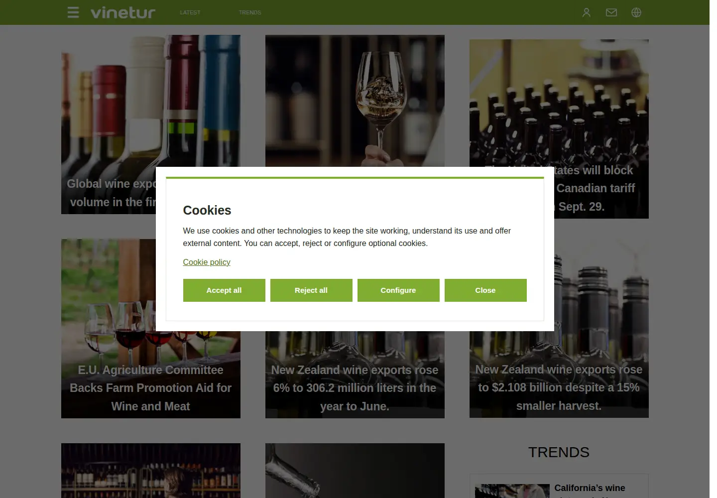 Captured homepage of vinetur.com in the current scan