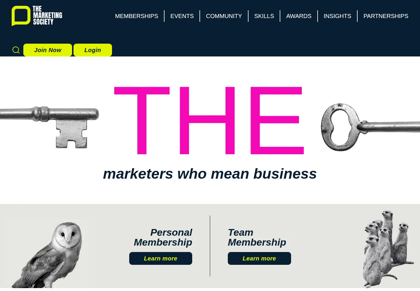 Screenshot of marketingsociety.com