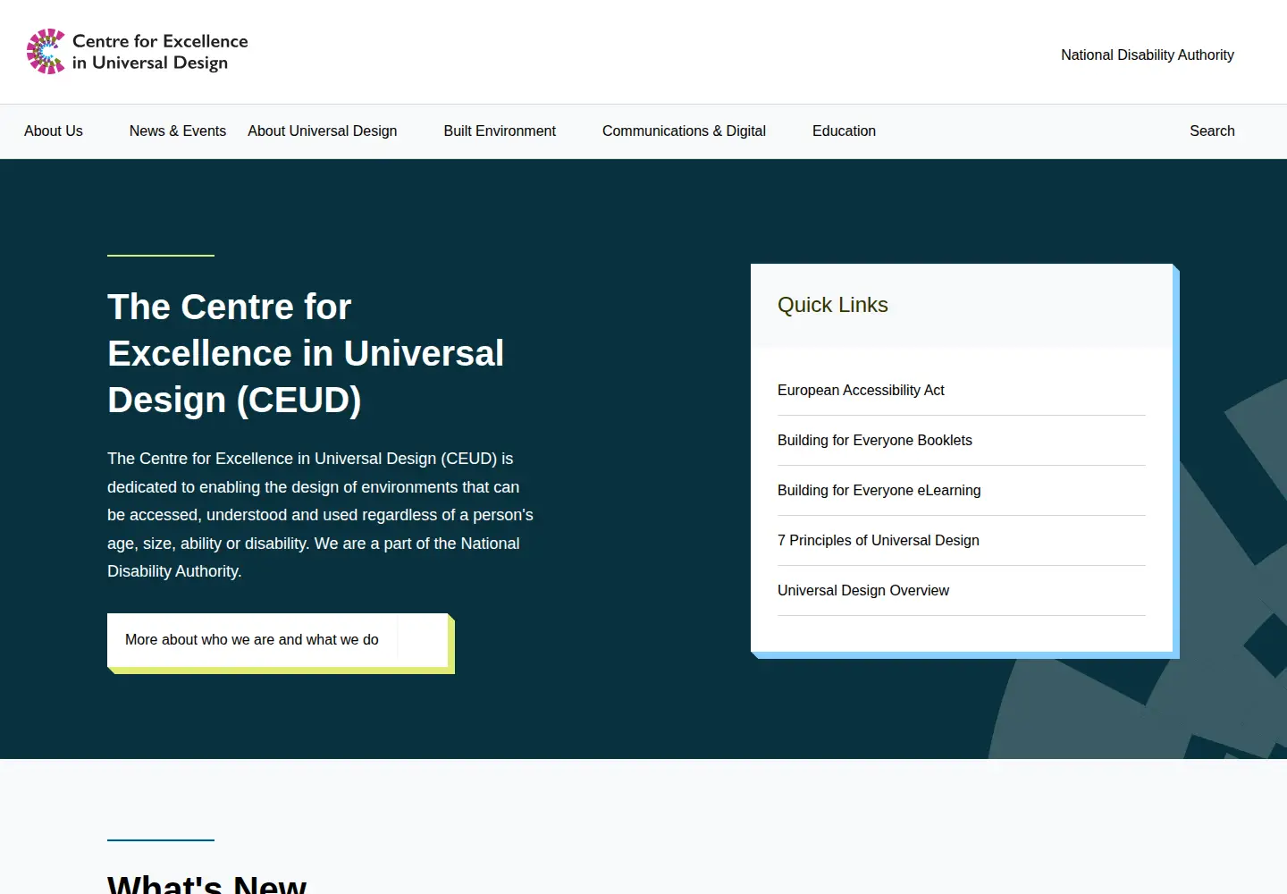 Captured homepage of universaldesign.ie in the current scan