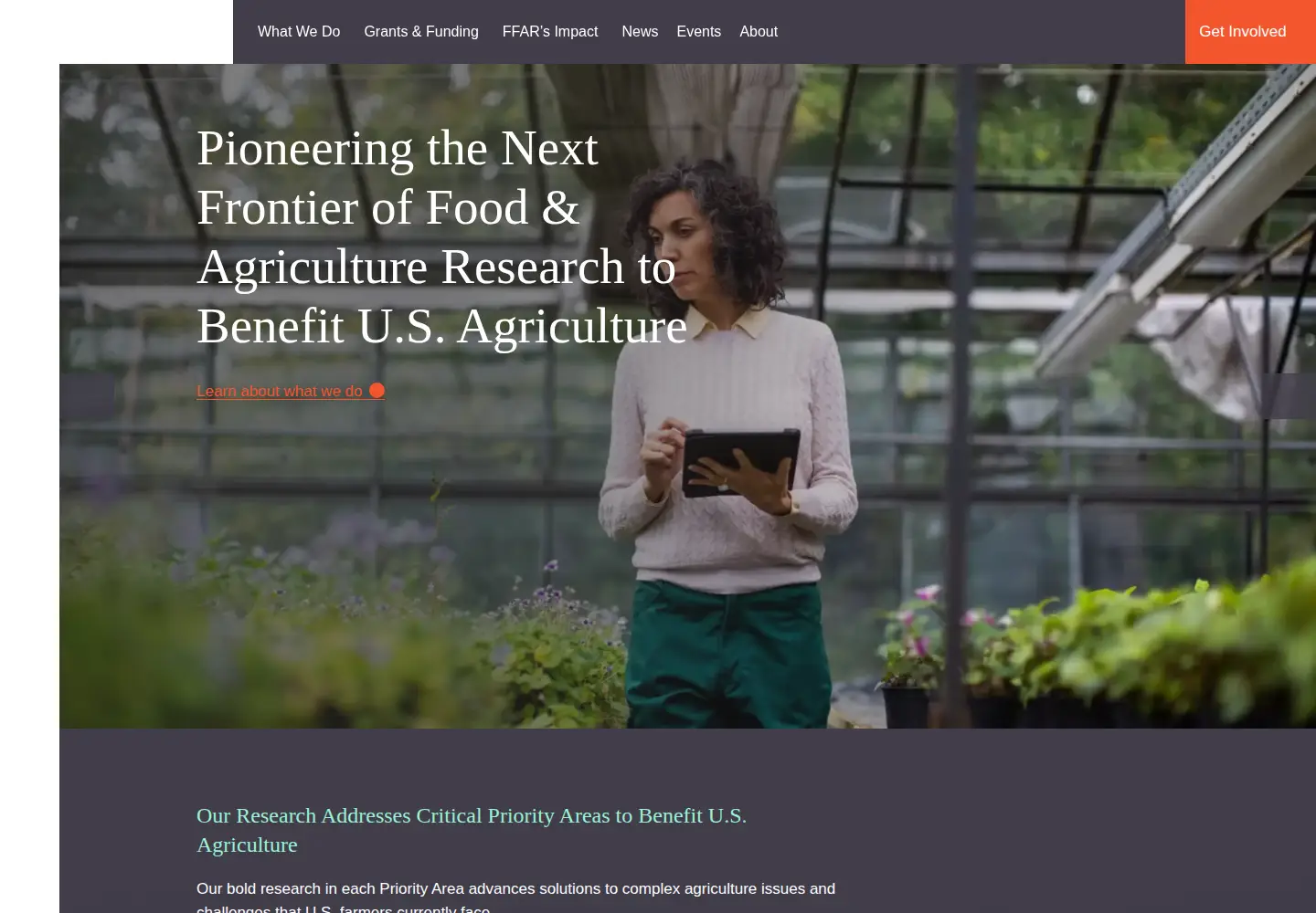 Captured homepage of foundationfar.org in the current scan