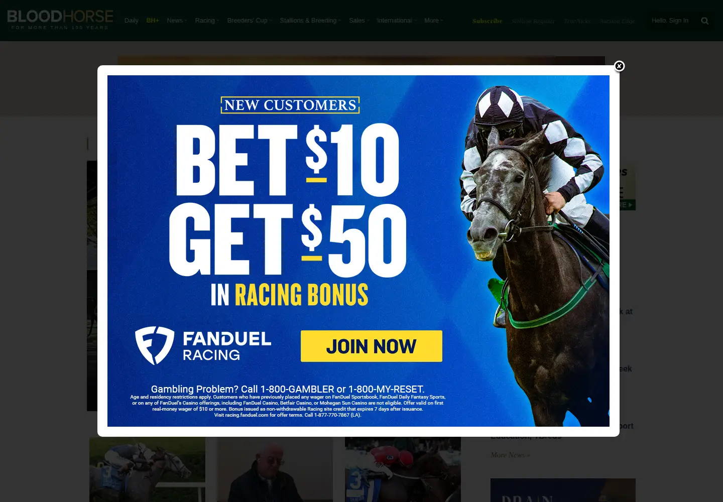 Captured homepage of bloodhorse.com in the current scan