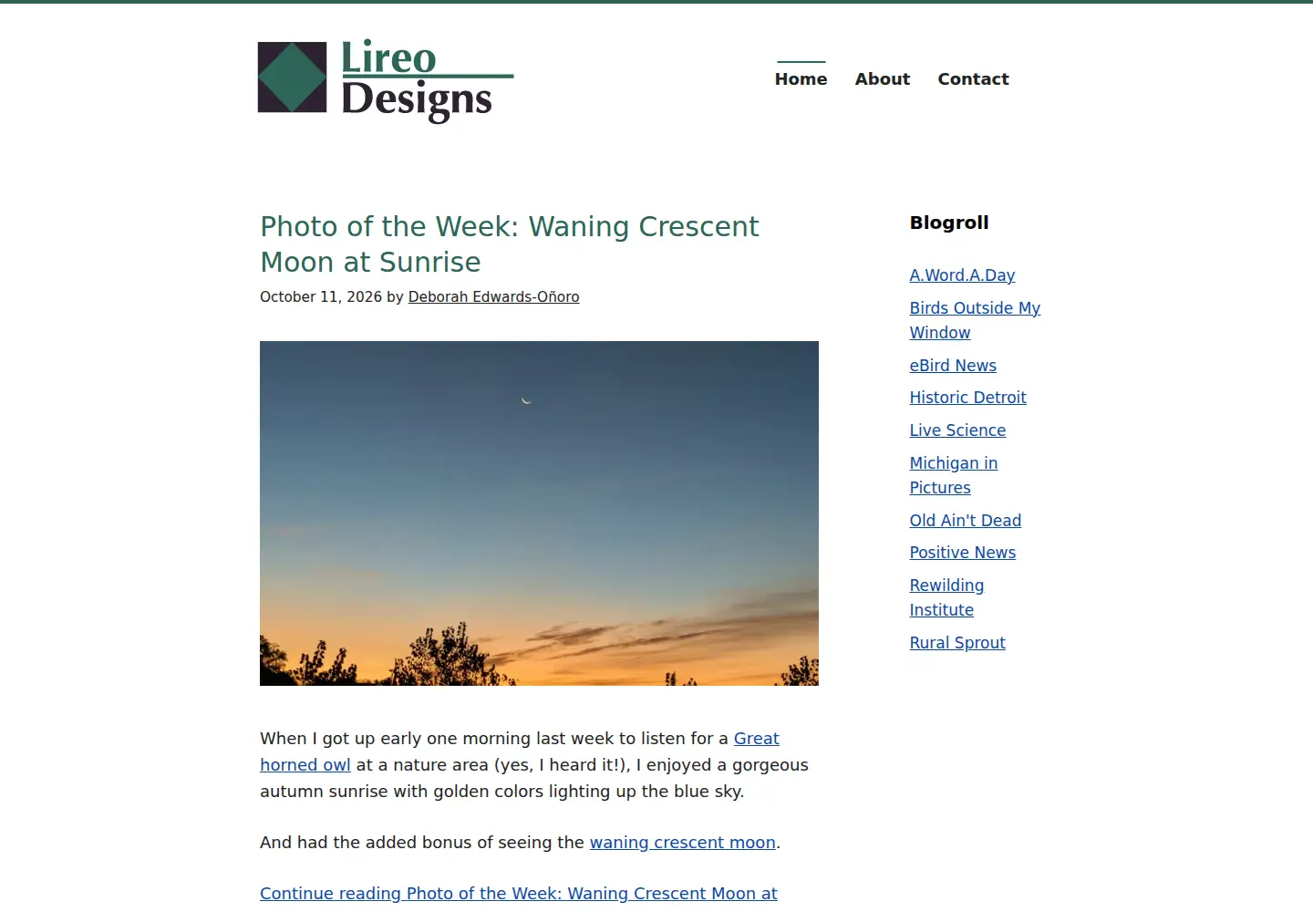 Screenshot of lireo.com