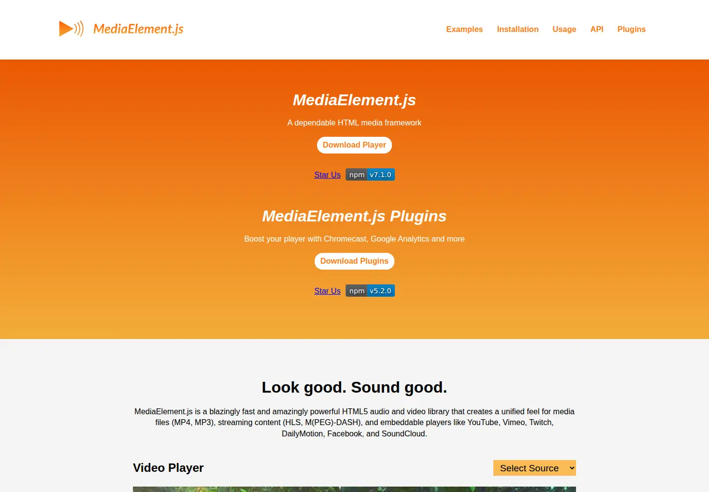 Captured homepage of mediaelementjs.com in the current scan
