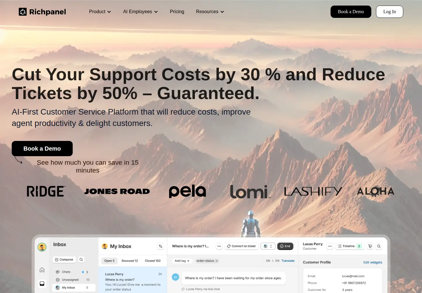 Screenshot of richpanel.com