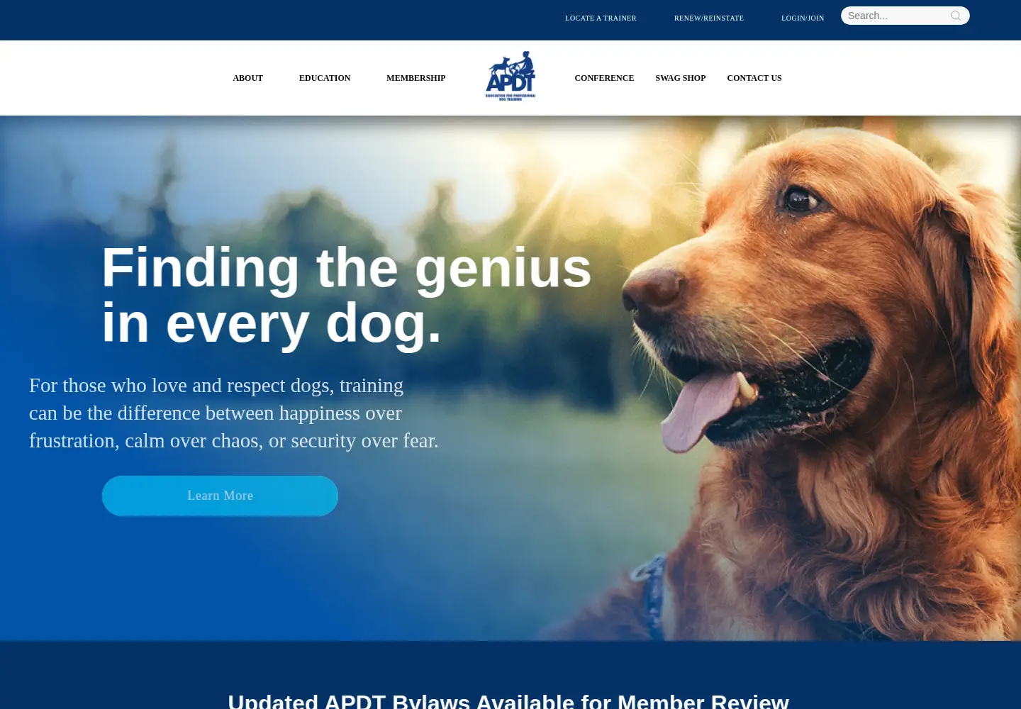 Screenshot of apdt.com