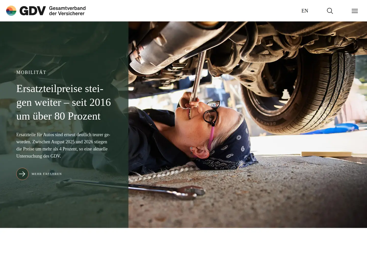 Screenshot of gdv.de