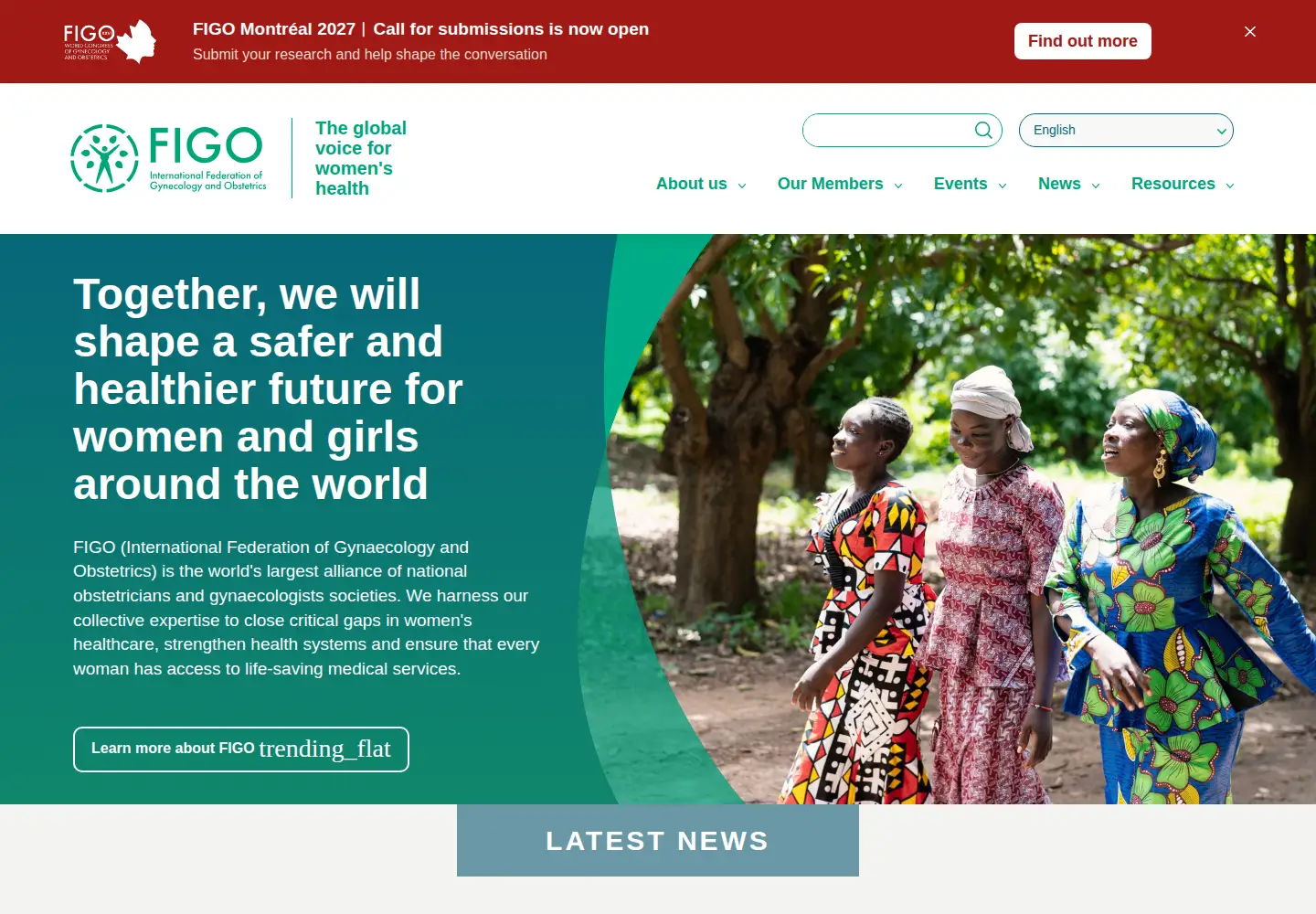 Screenshot of figo.org
