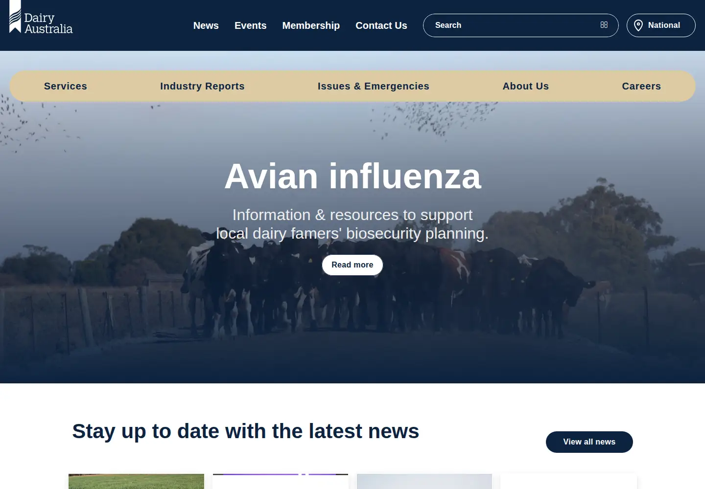 Captured homepage of dairyaustralia.com.au in the current scan