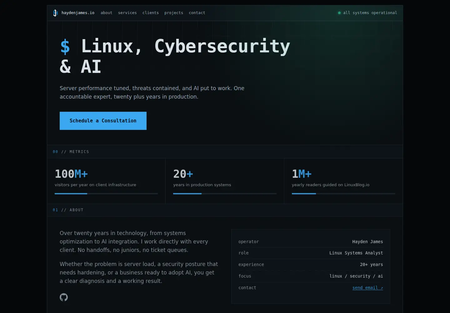 Captured homepage of haydenjames.io in the current scan