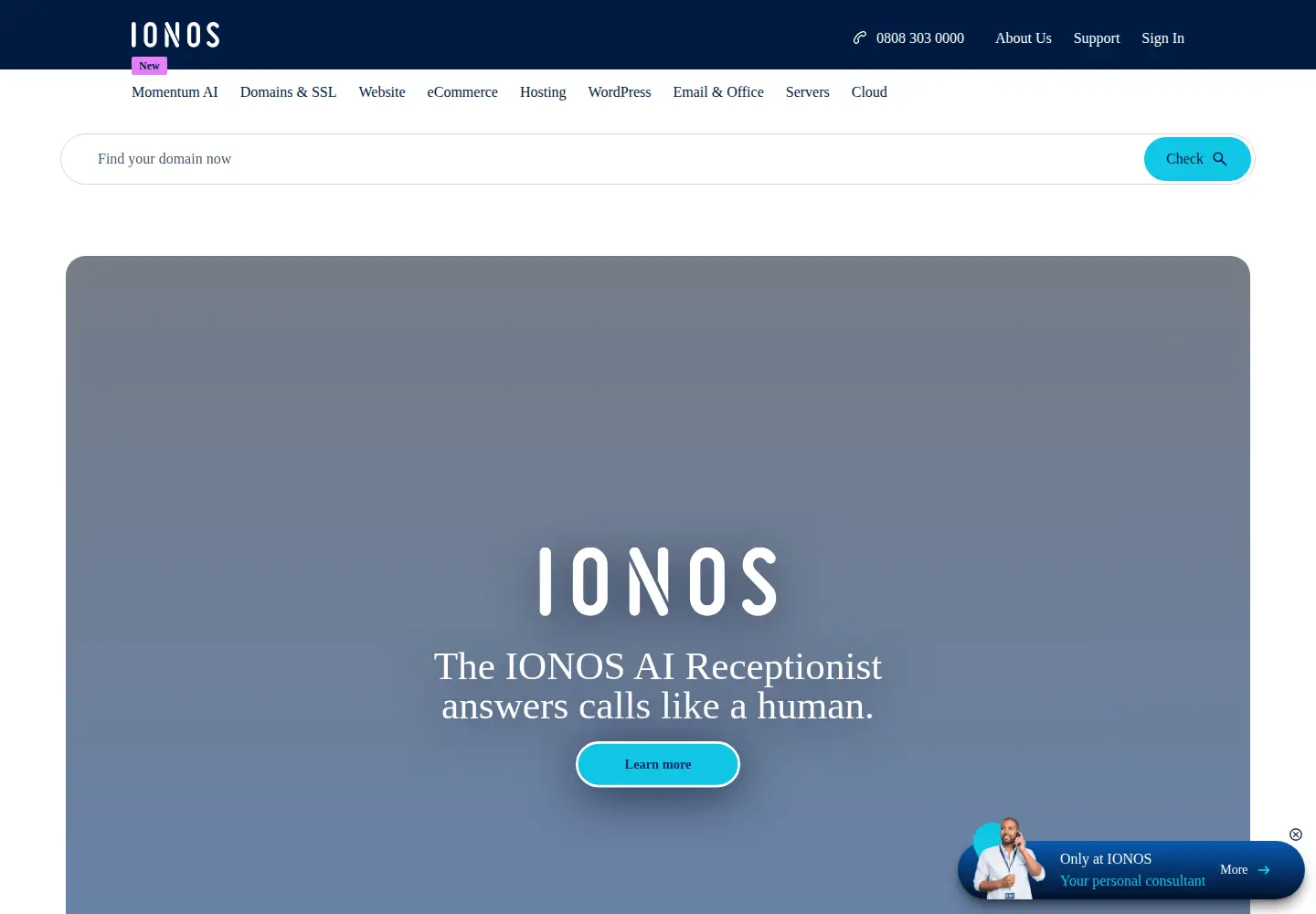 Screenshot of ionos.co.uk