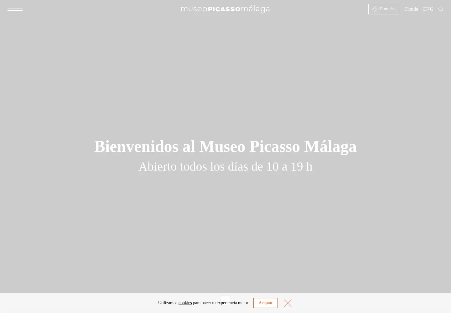 Screenshot of museopicassomalaga.org