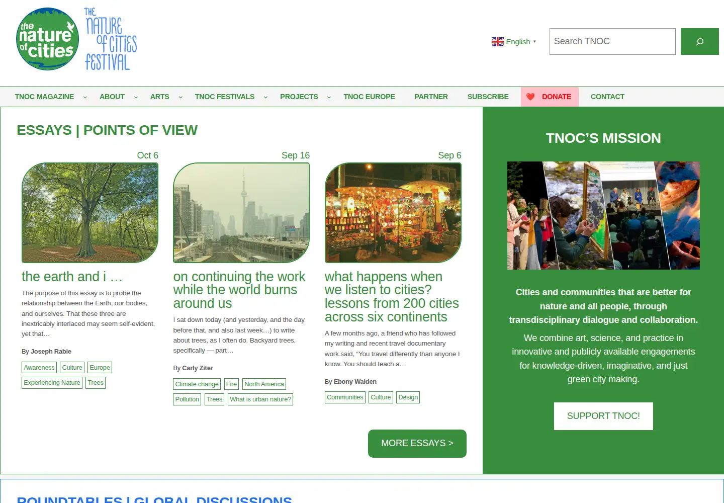 Captured homepage of thenatureofcities.com in the current scan