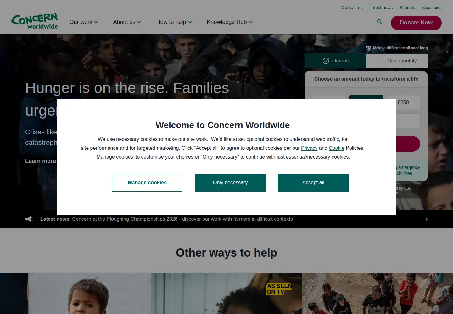 Captured homepage of concern.net in the current scan