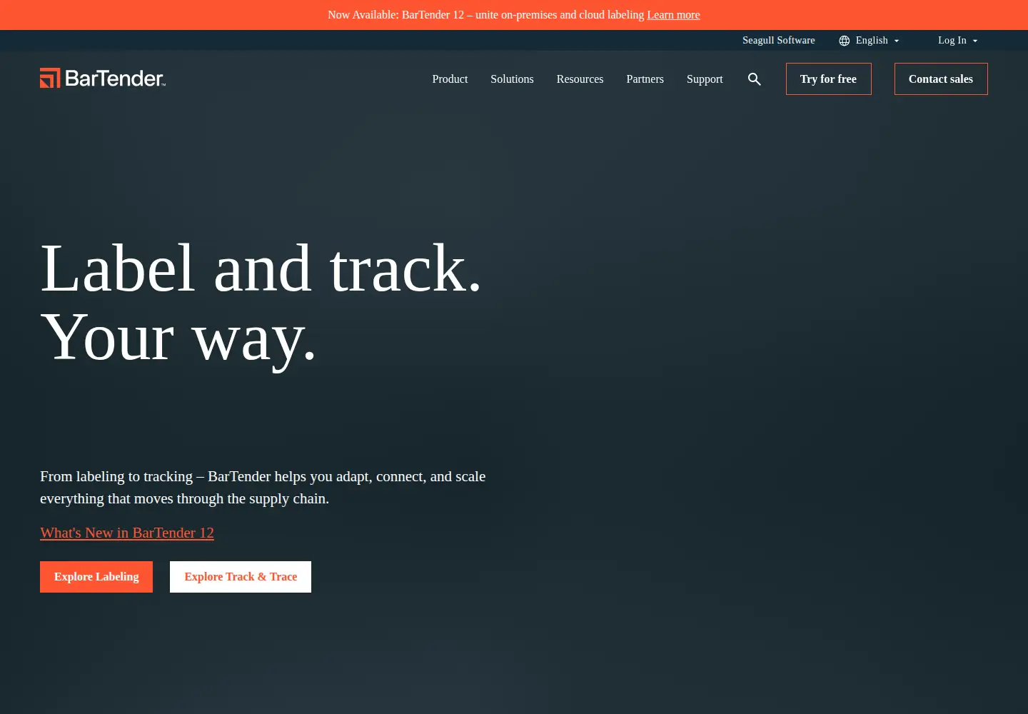 Captured homepage of seagullscientific.com in the current scan