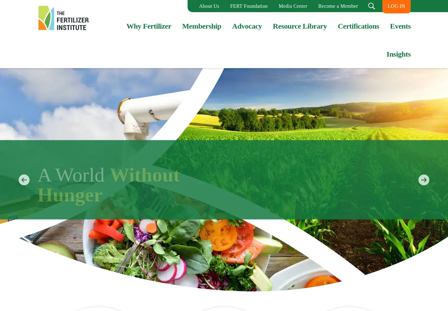 Screenshot of tfi.org