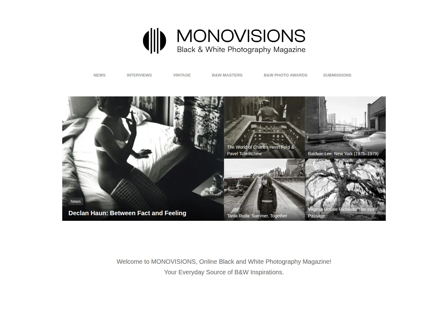 Screenshot of monovisions.com