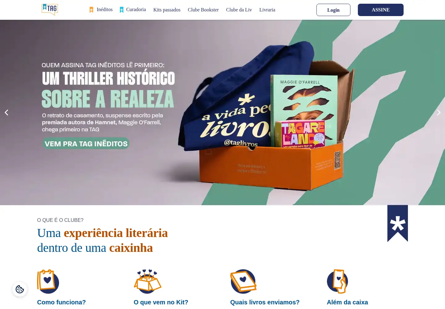 Captured homepage of taglivros.com in the current scan