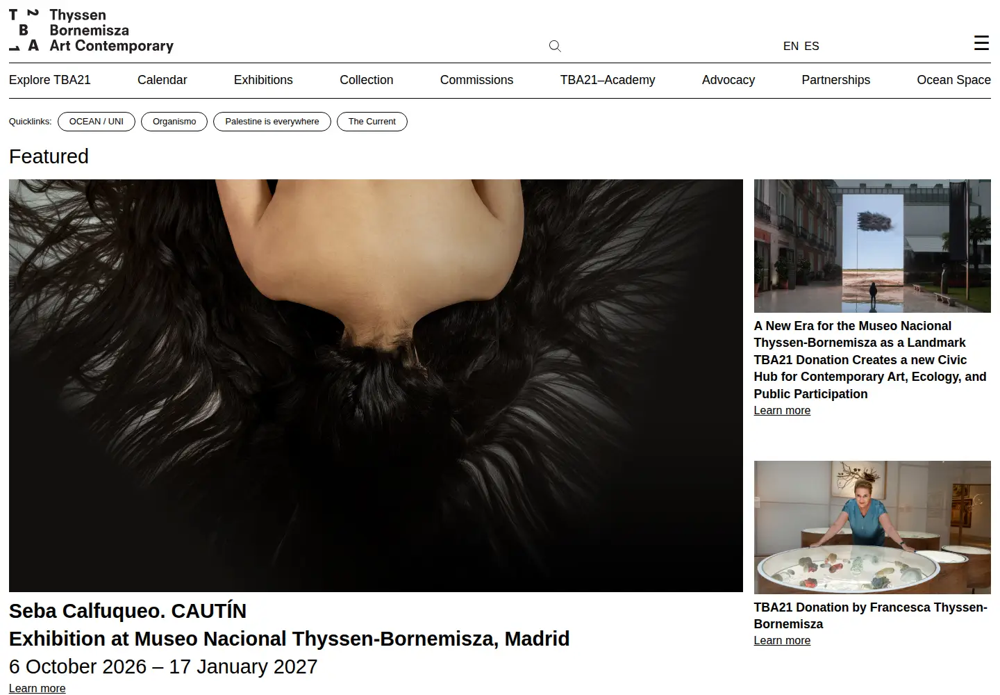 Screenshot of tba21.org