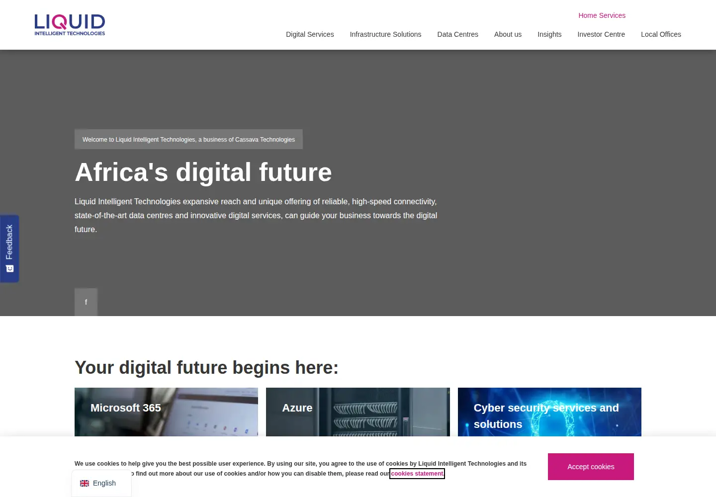 Captured homepage of liquid.tech in the current scan