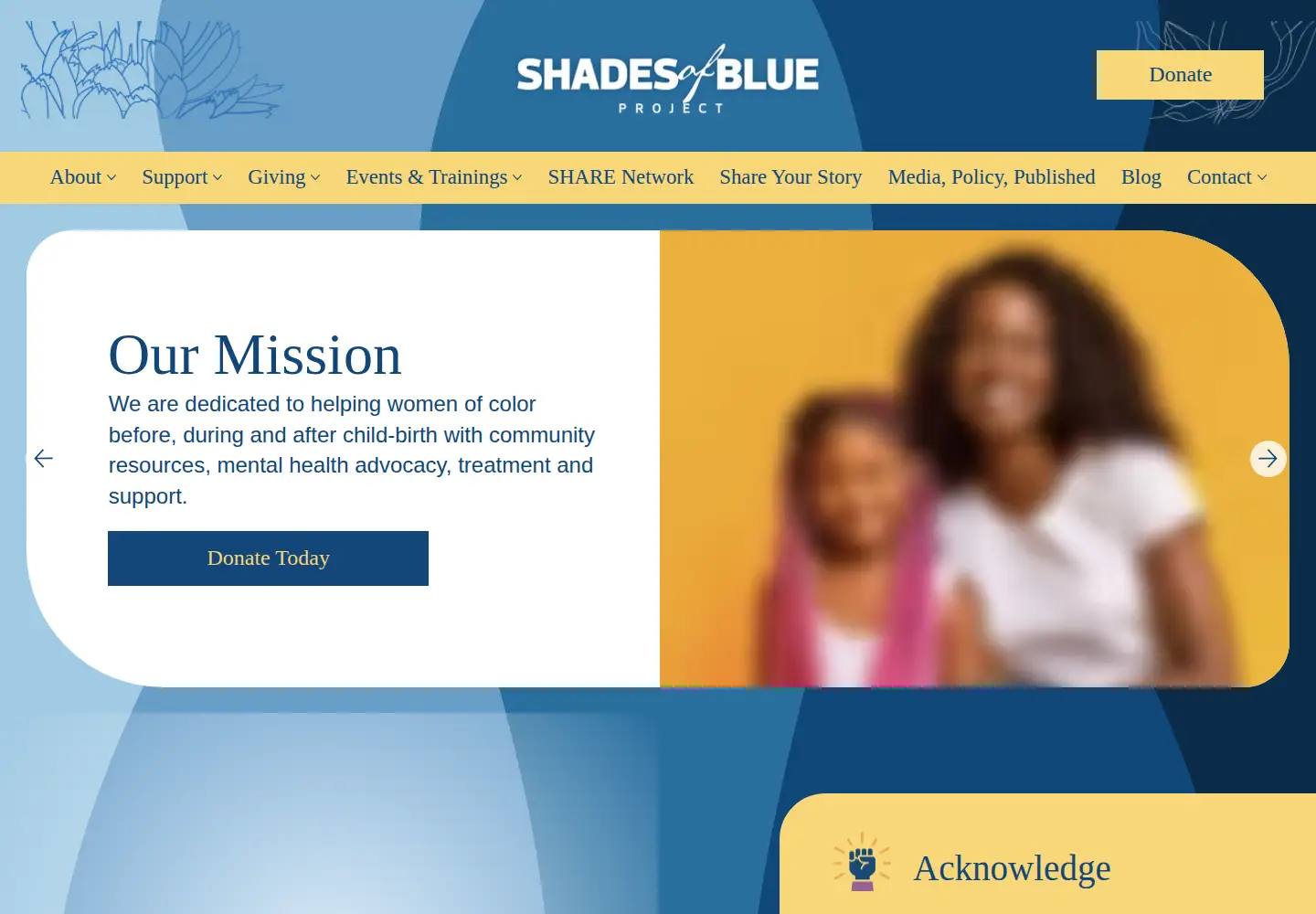 Captured homepage of shadesofblueproject.org in the current scan