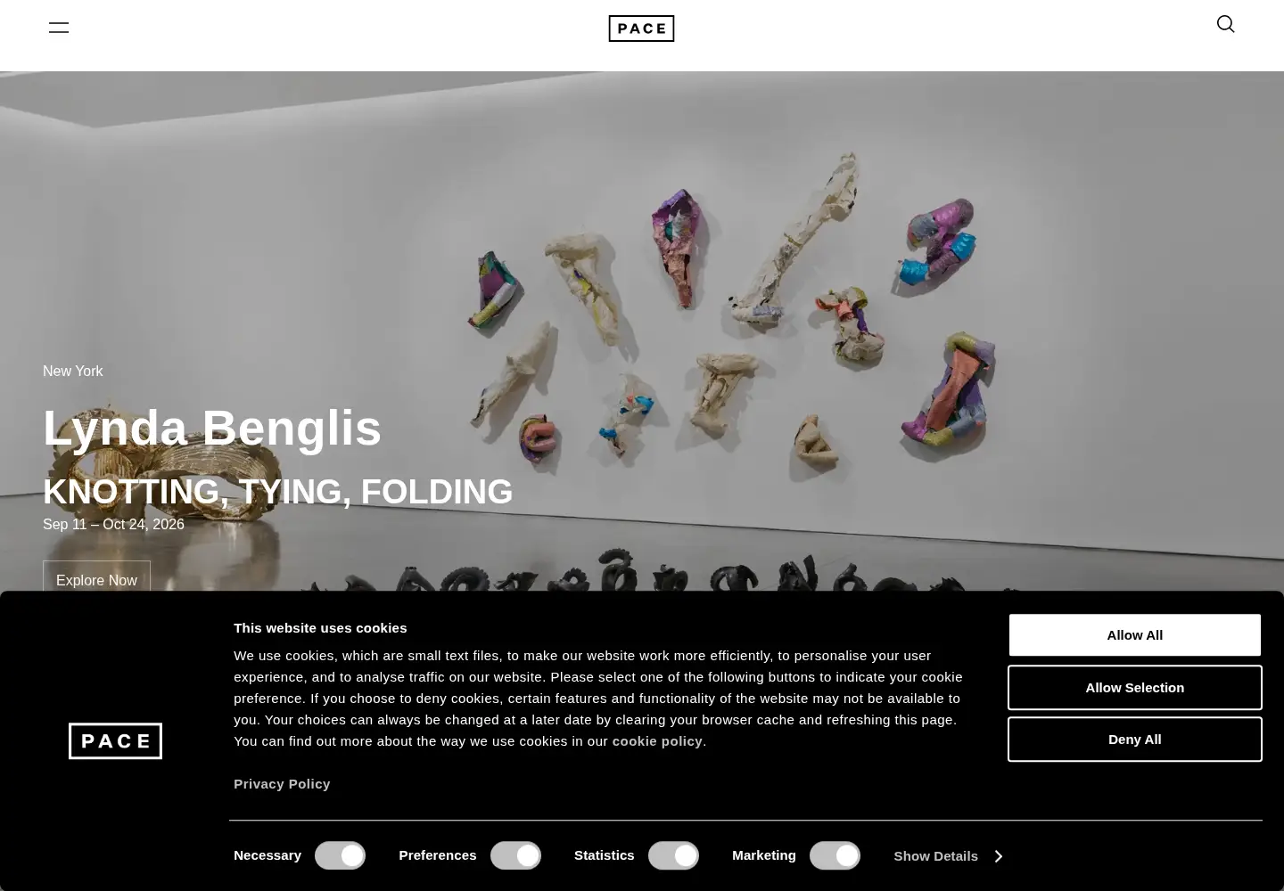 Screenshot of pacegallery.com