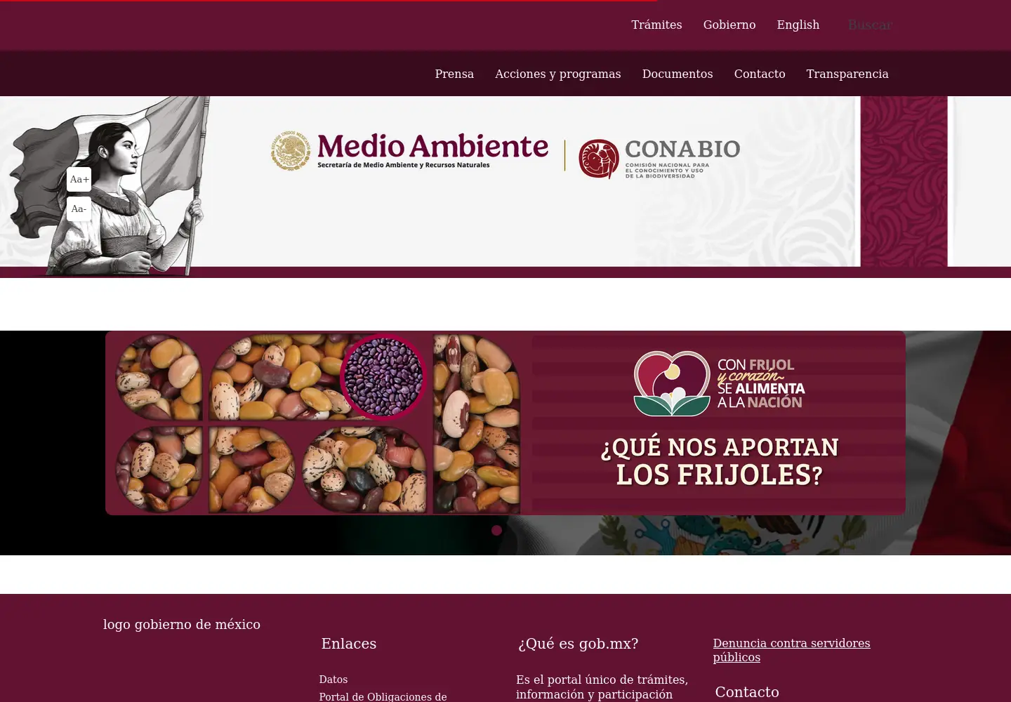 Captured homepage of conabio.gob.mx in the current scan