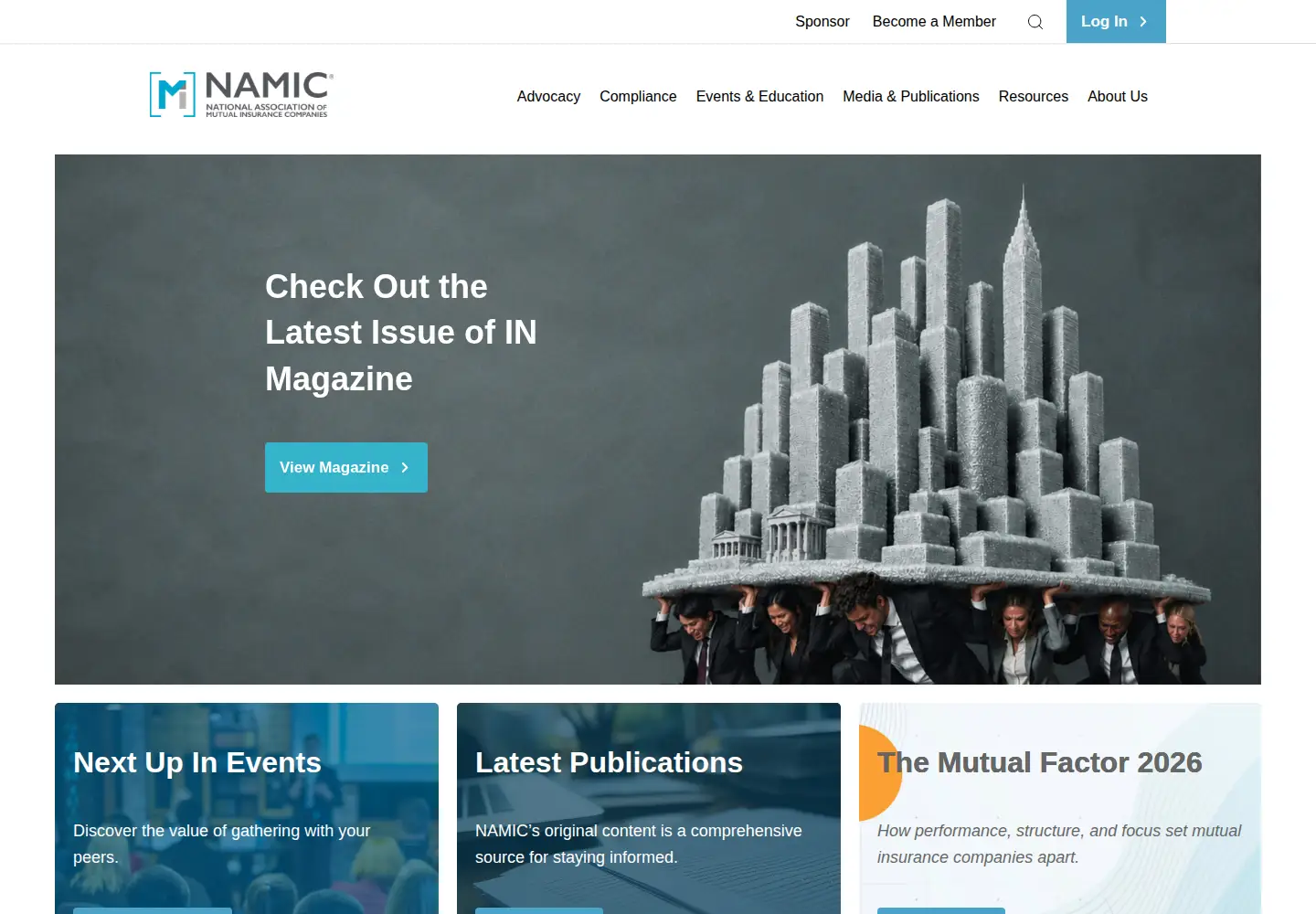 Screenshot of namic.org