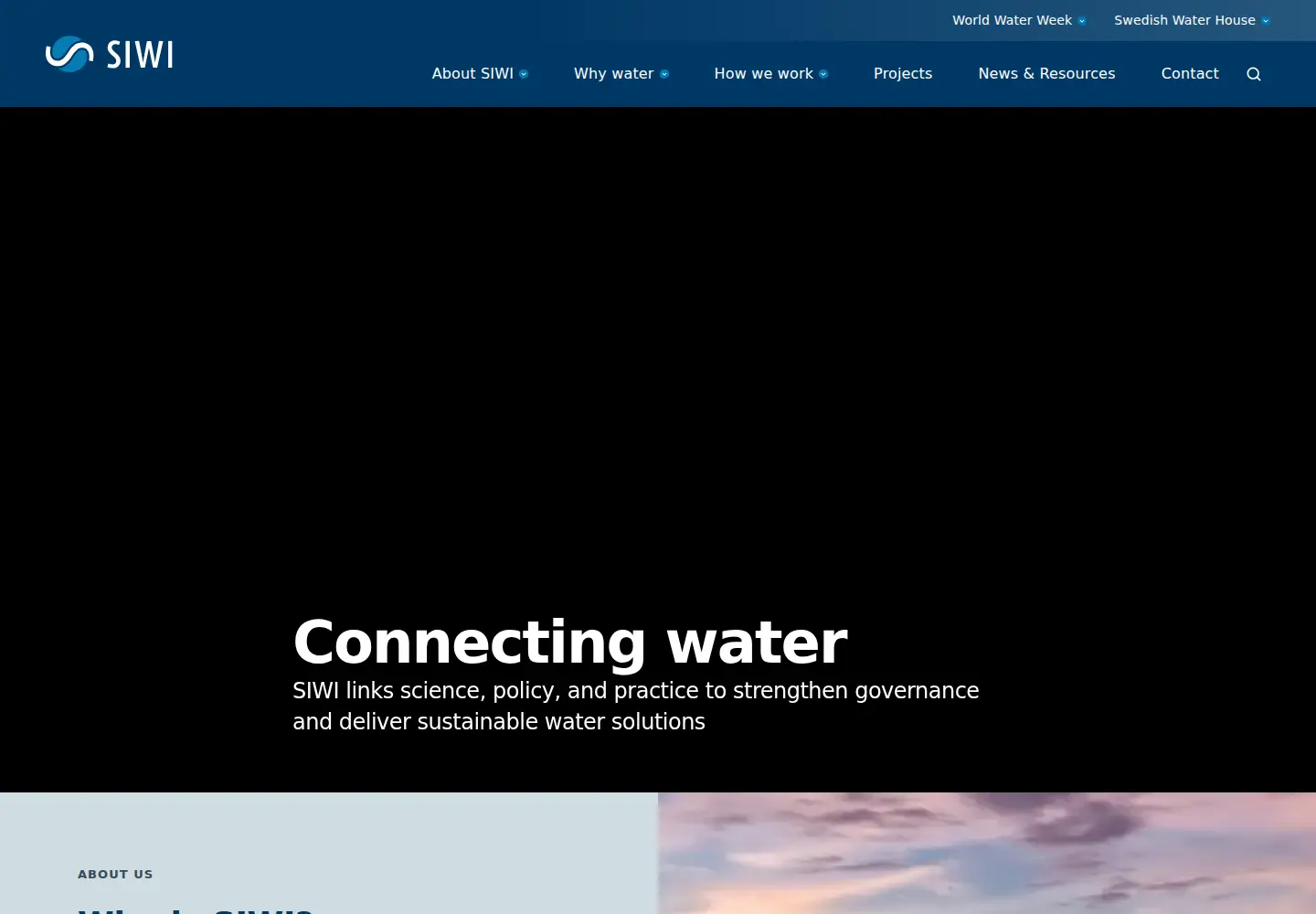 Captured homepage of siwi.org in the current scan
