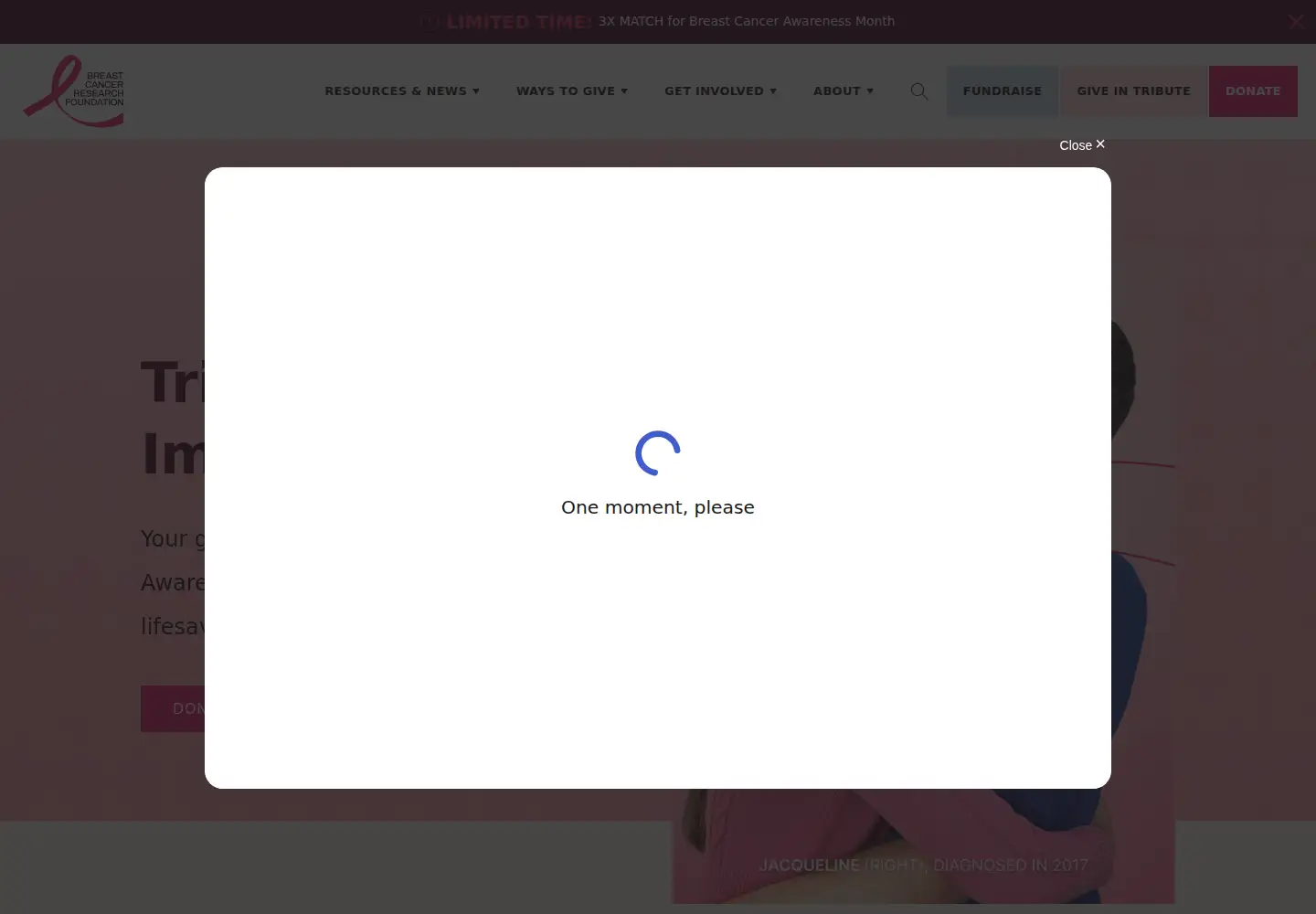 Screenshot of bcrf.org