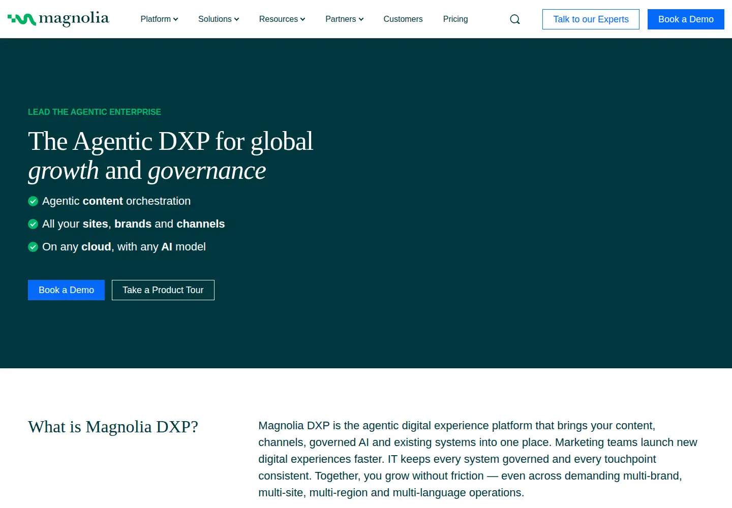 Screenshot of magnolia-cms.com