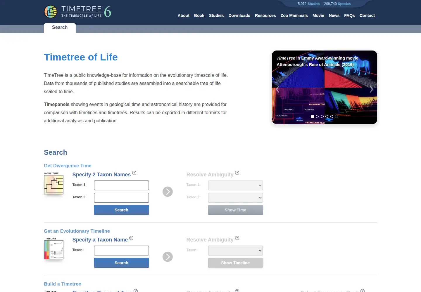 Screenshot of timetree.org