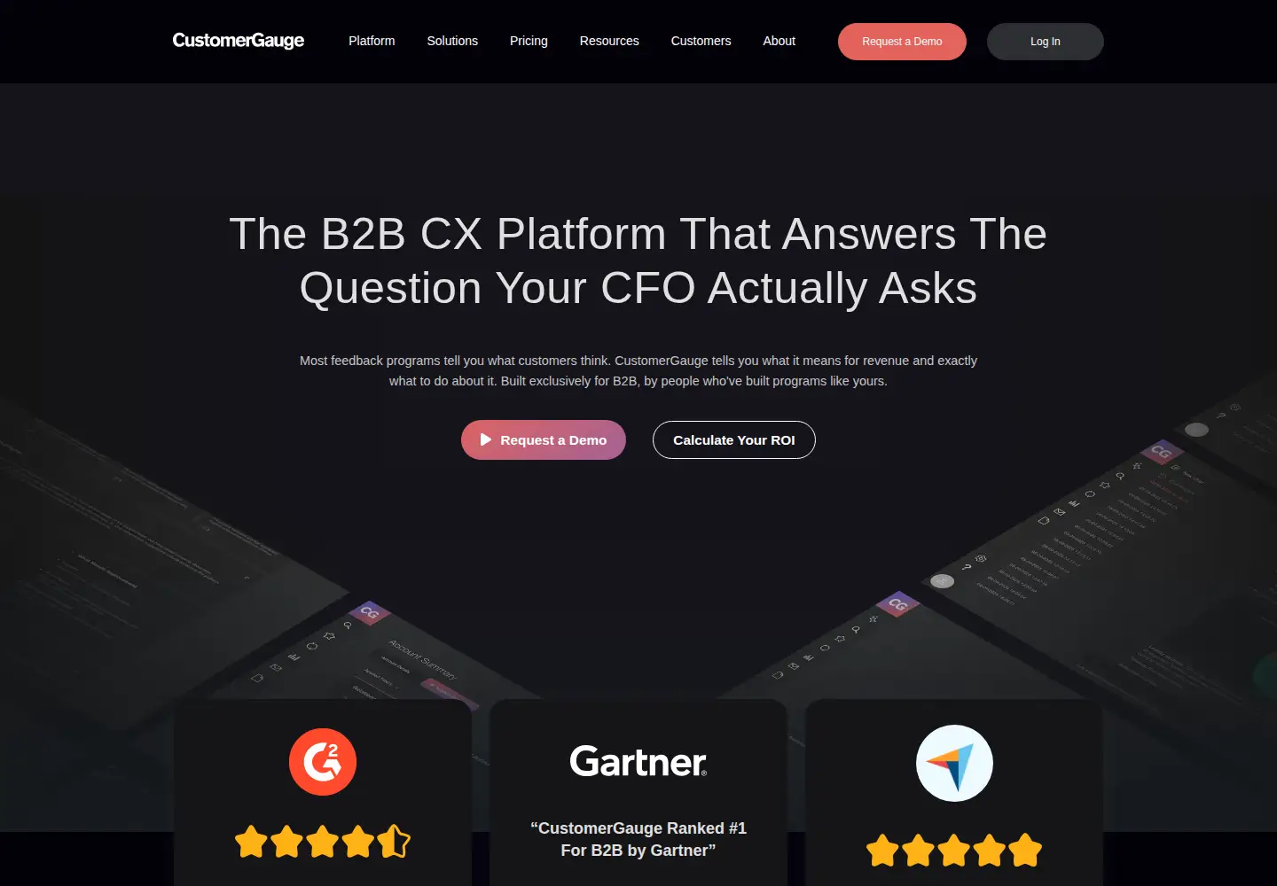 Captured homepage of customergauge.com in the current scan