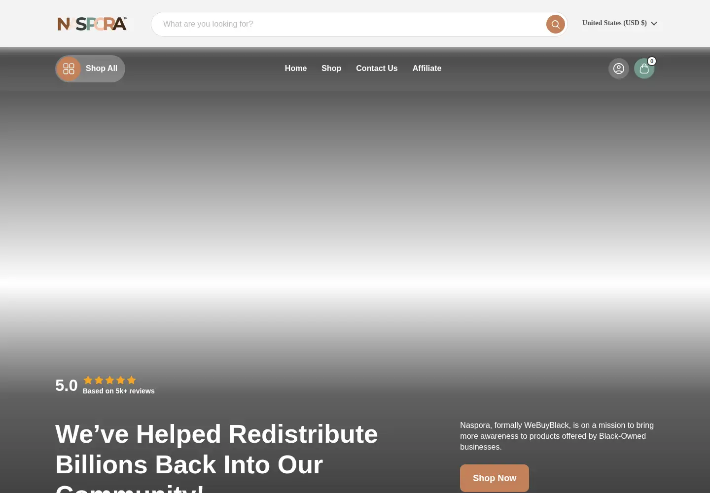 Screenshot of webuyblack.com