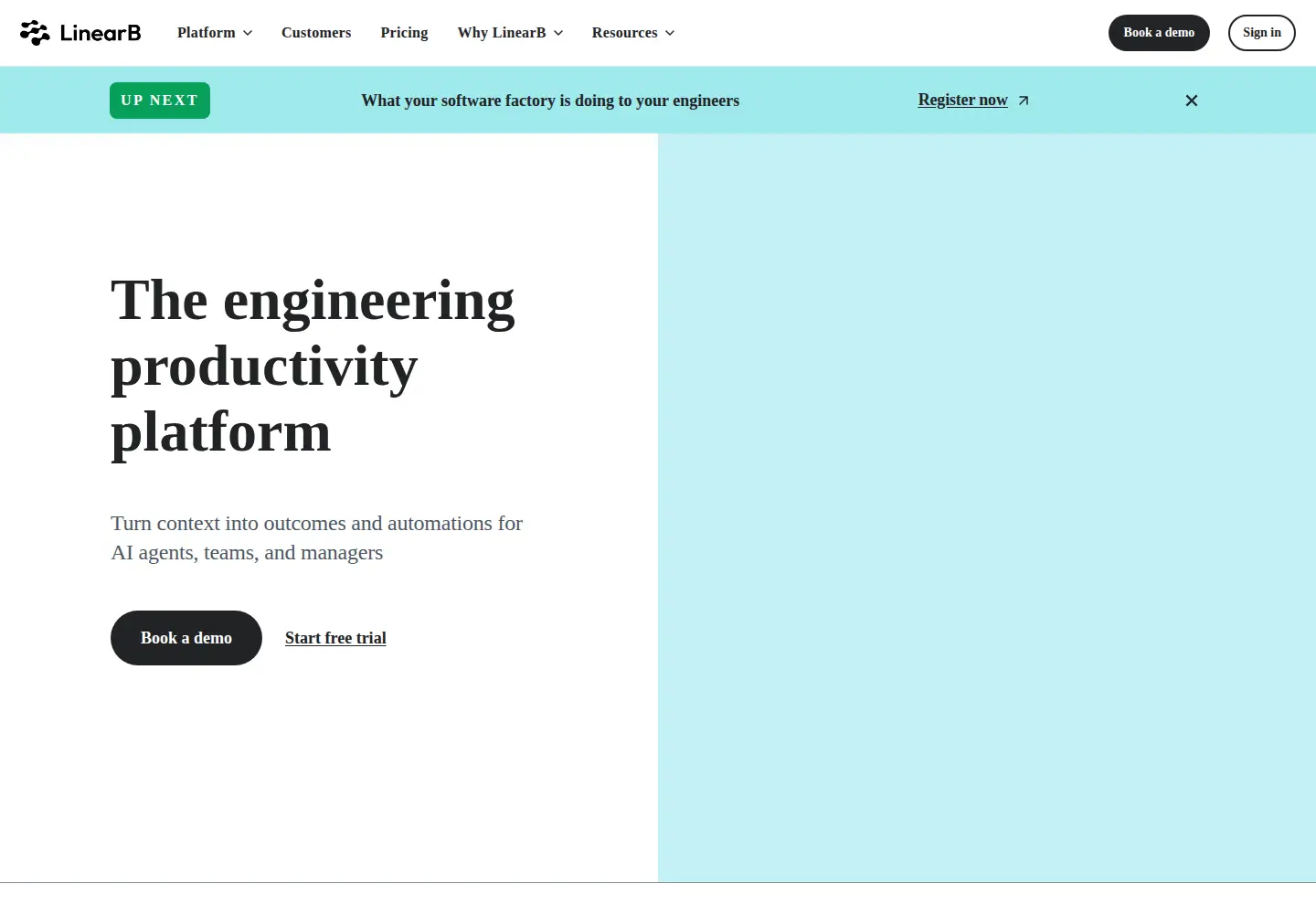 Captured homepage of linearb.io in the current scan